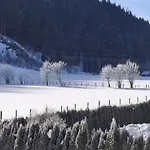 Apartman Joss Wagrain